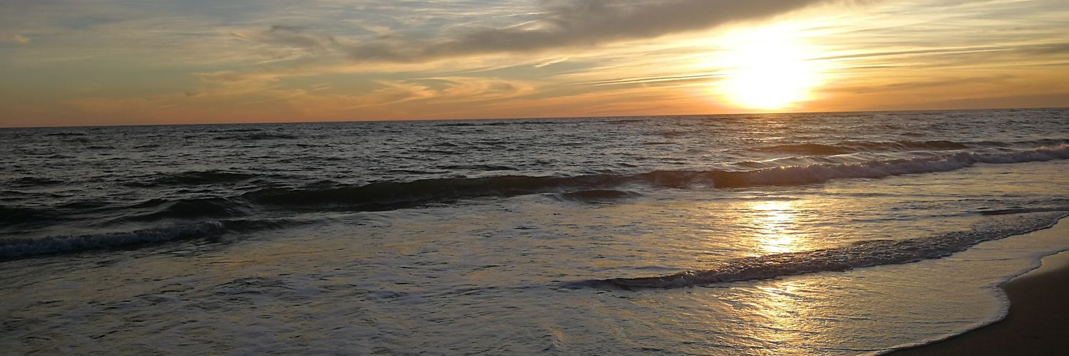 crigonbar's profile banner image