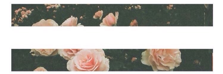 lauragalaha's profile banner image