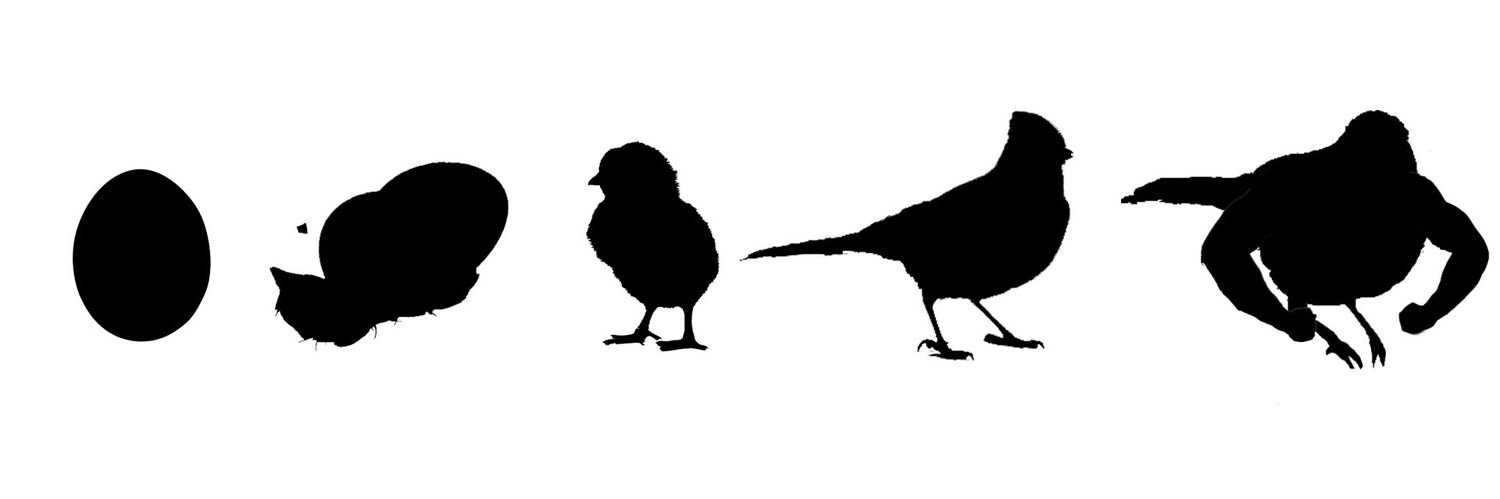 Feltern's profile banner image