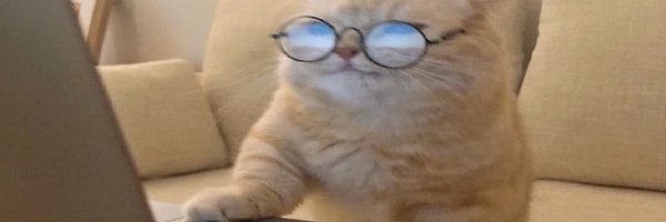 schadee0 Profile Banner