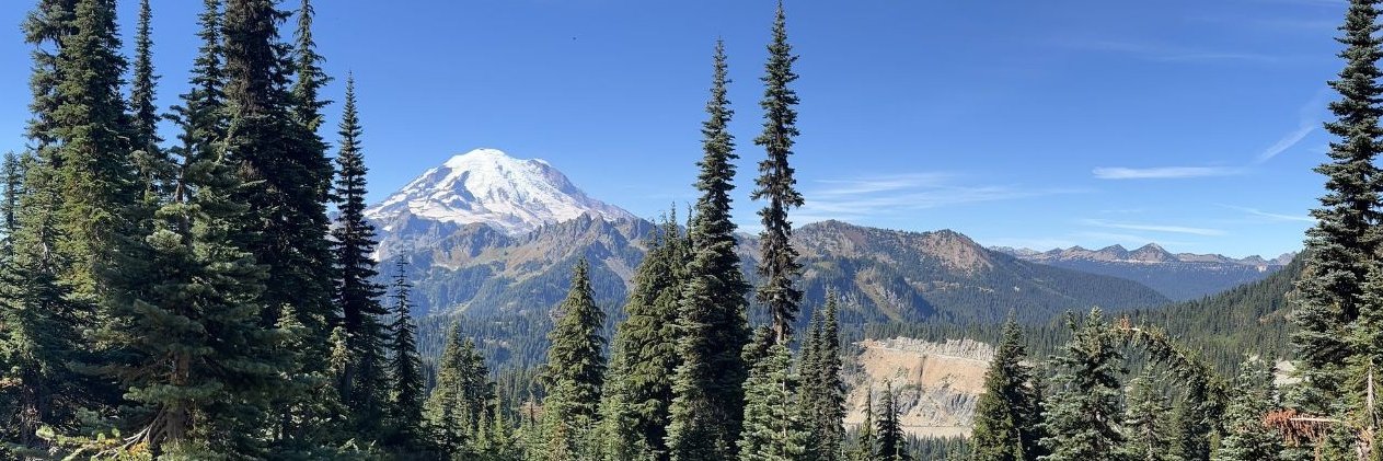 WA State Public Health Association banner