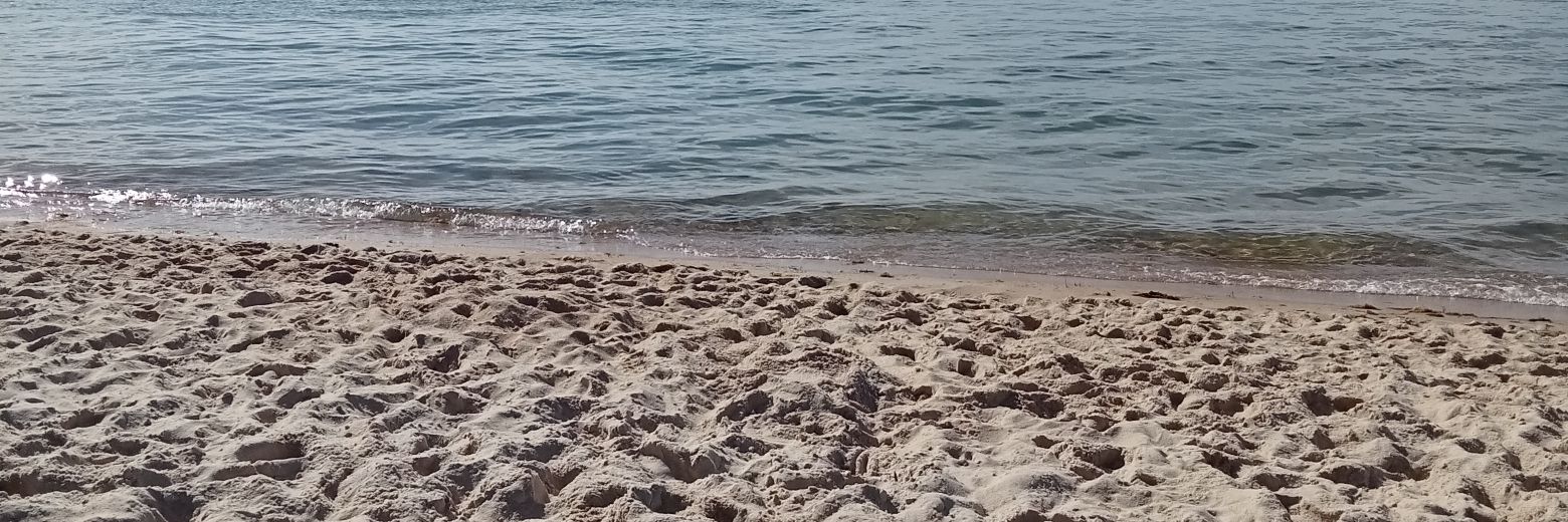 Anthony Migliardi banner