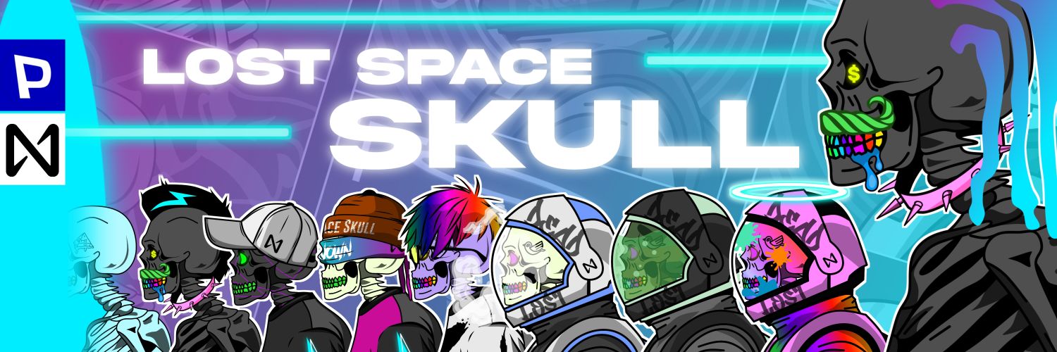 Lost Space Skull // 315/444 banner