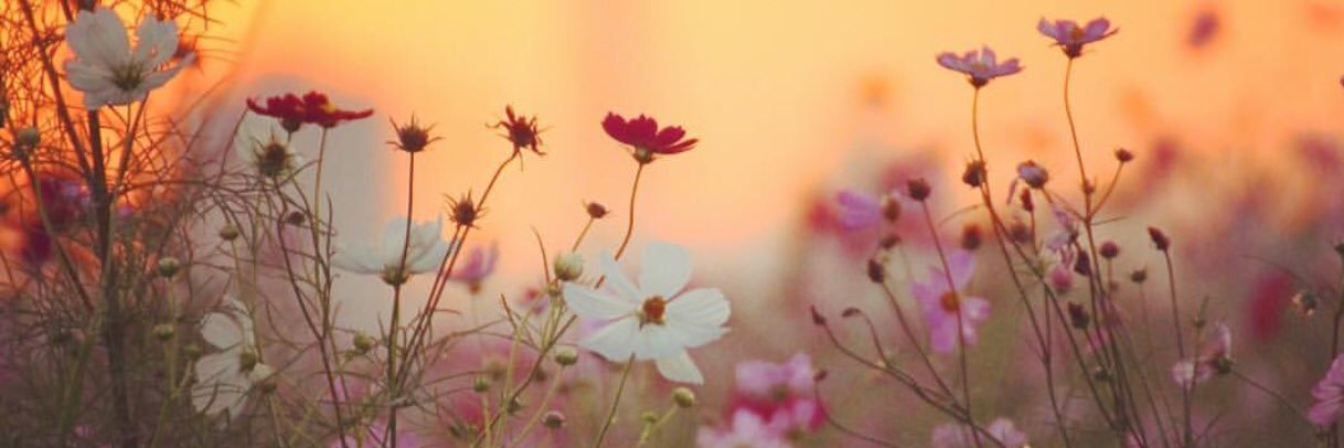 utha_my's profile banner image