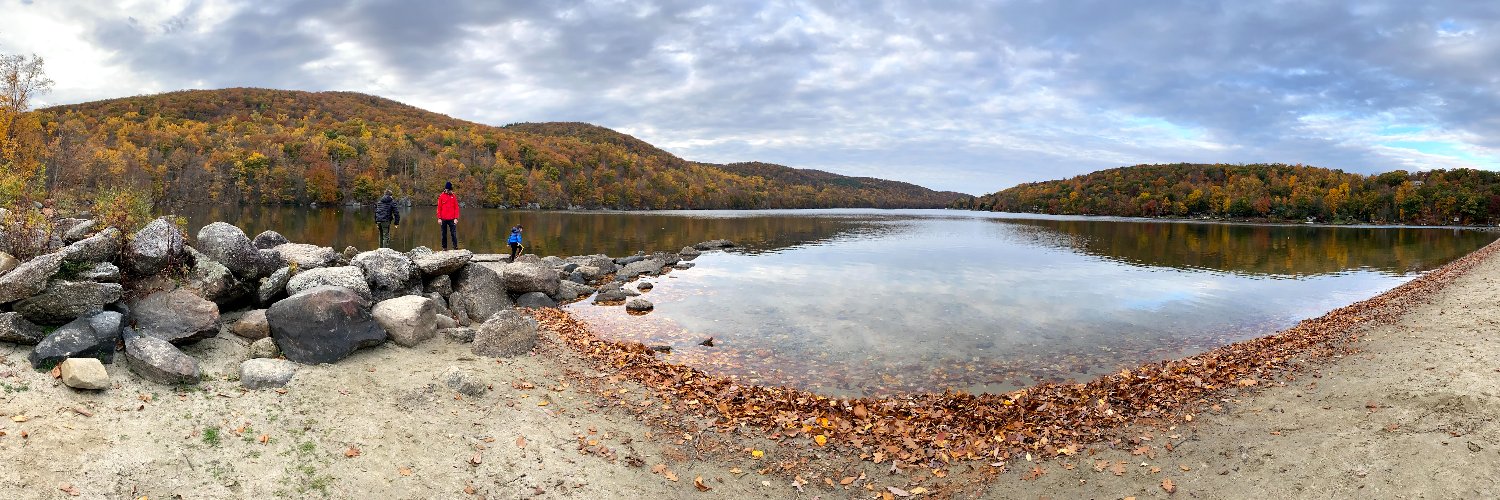 Anna Cockerille banner