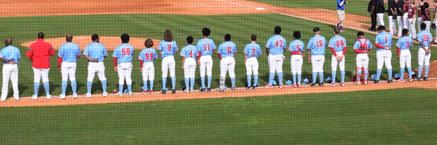 Austin-East Baseball banner