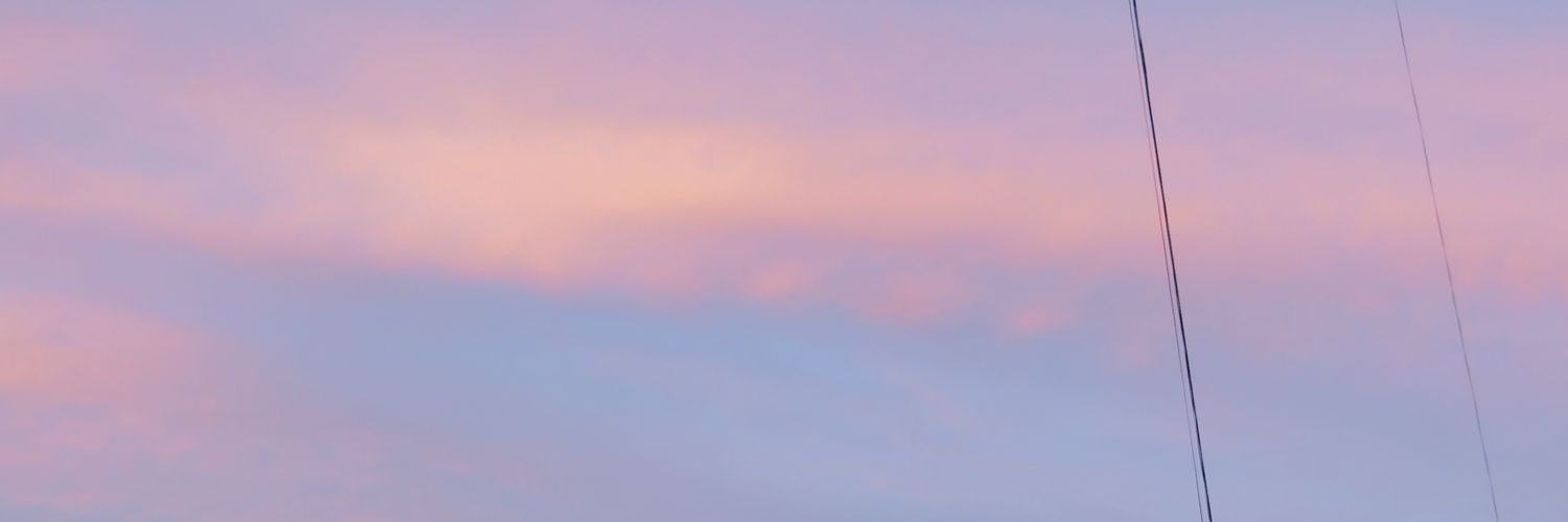 GiuliCeccarelli's profile banner image