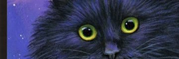 Minxette banner