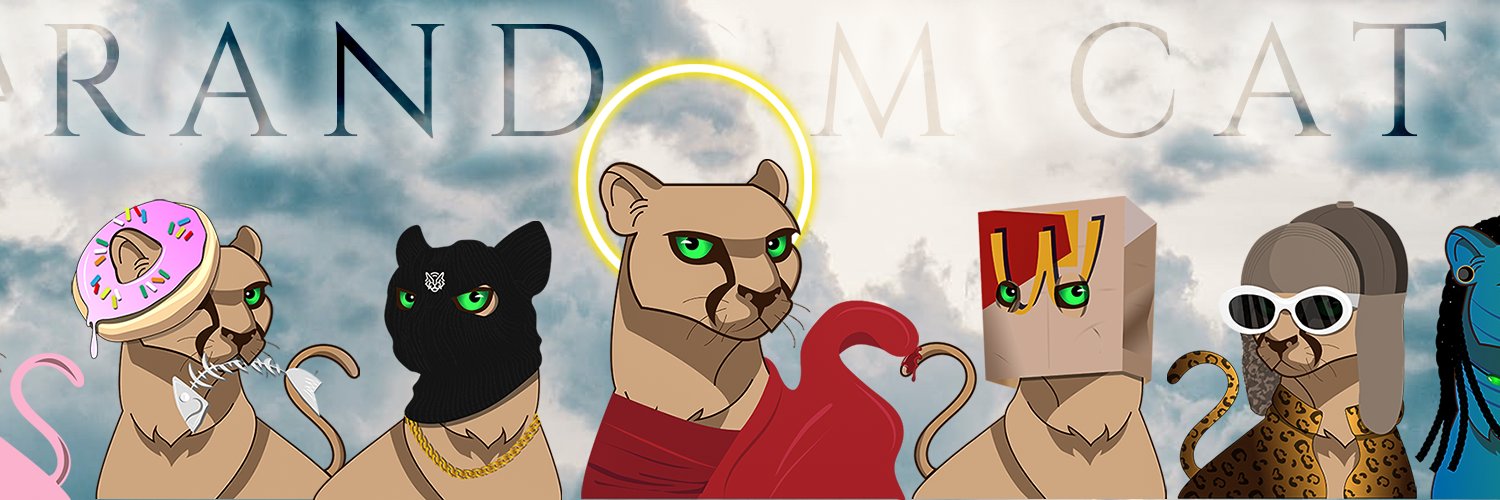 Random Cat banner