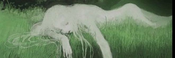 numba2bashirfan's profile banner image