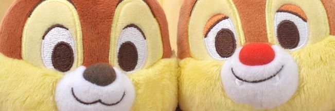 walnutnut0929's profile banner image