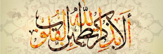faresabidine's profile banner image