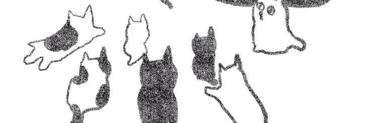 aorjix banner