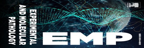 Sci_Editor_EMP's profile banner image