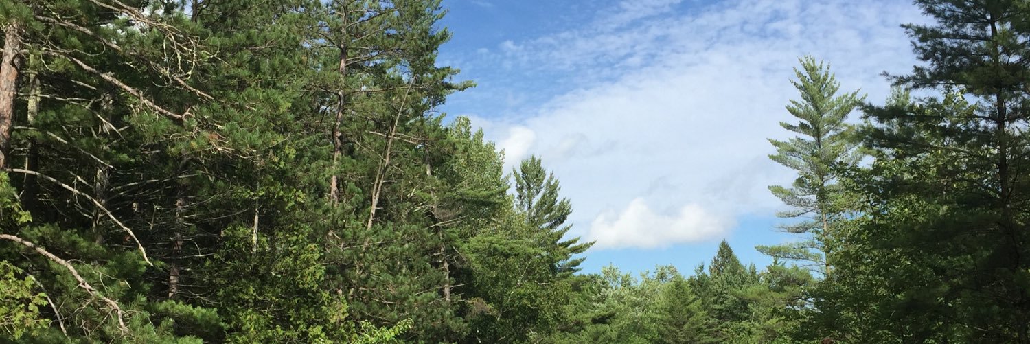 Jackyritz's profile banner image