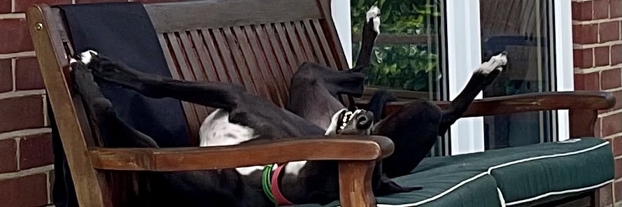 Robbie Grey#proudtobeananimalextremist banner