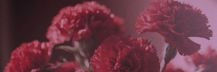 𝆊 ᴬⁿᵈʳᵉᵃ banner