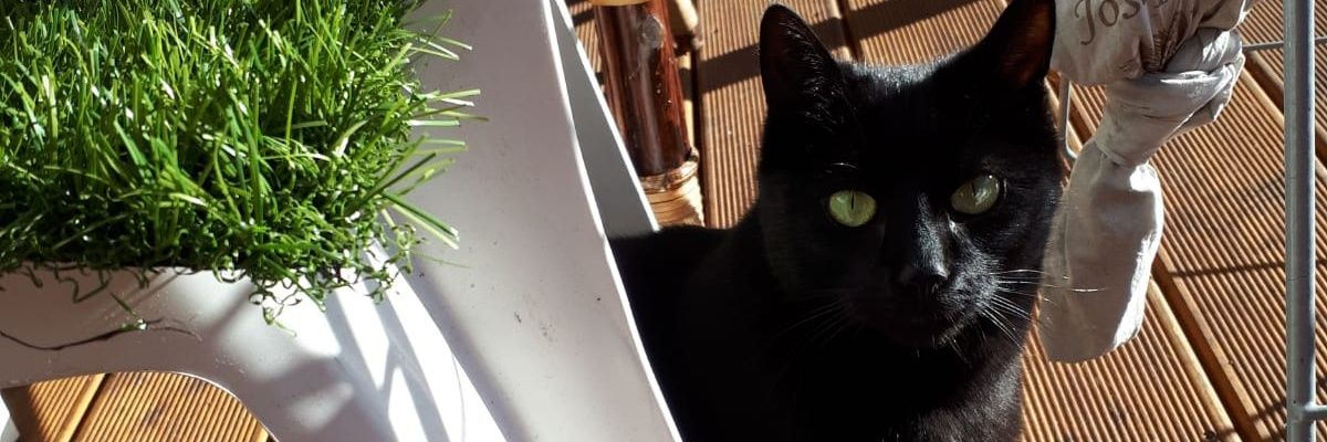 mathildebrsl's profile banner image