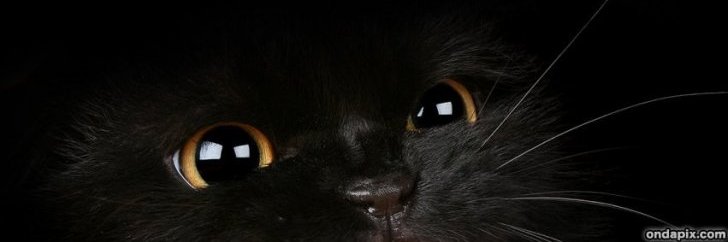 InformaT96's profile banner image