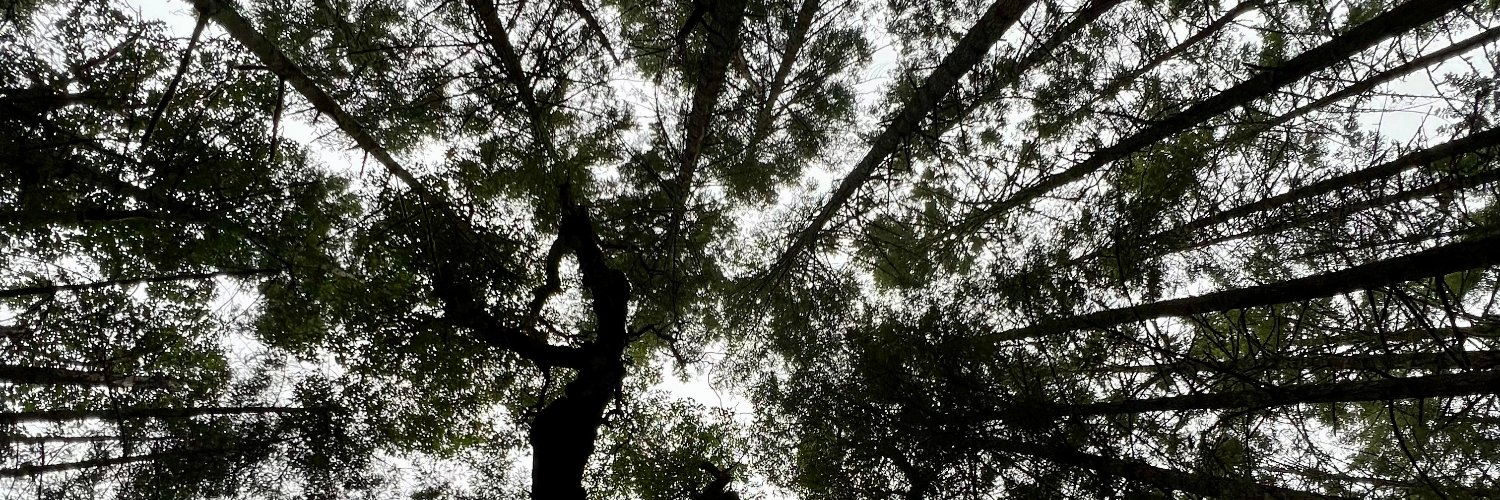 Jayme Cochrane banner