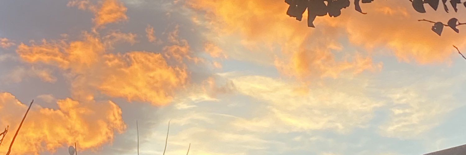 elenaaseques's profile banner image
