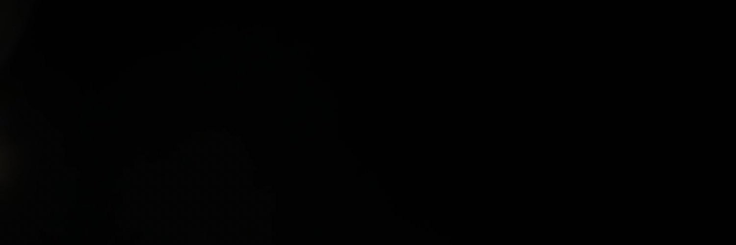 Nasser banner