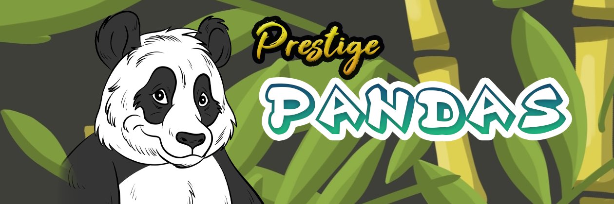 MTV - Prestige Pandas banner