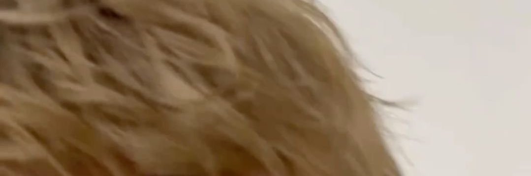 GODtarochan's profile banner image