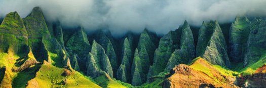 PPSHawaii banner