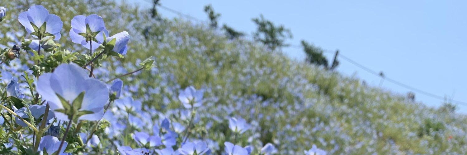 _gtjv's profile banner image