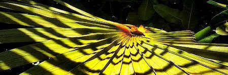 lokeshclb's profile banner image