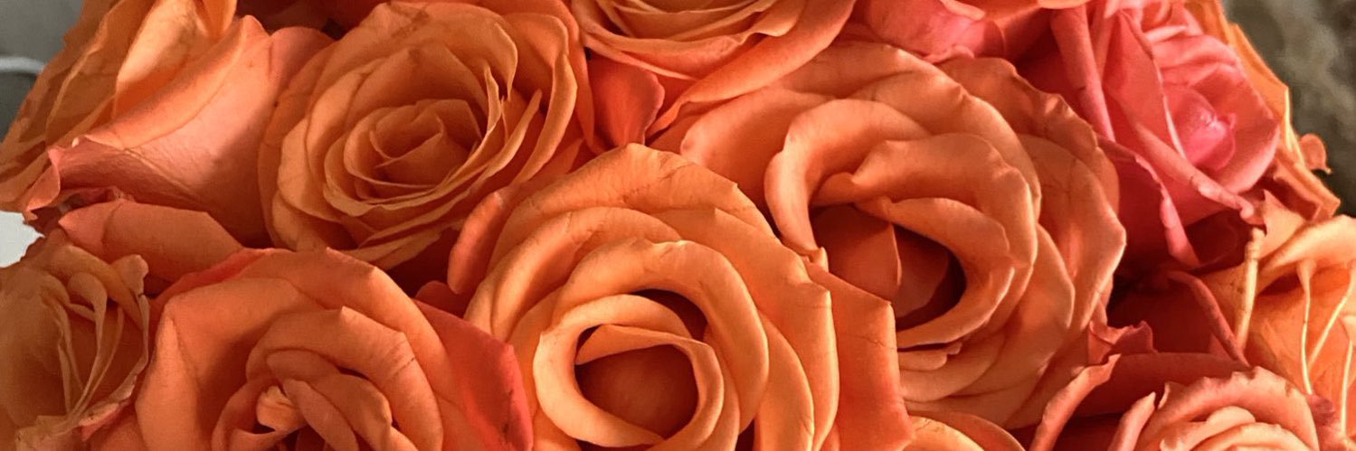 Pale_MissP's profile banner image