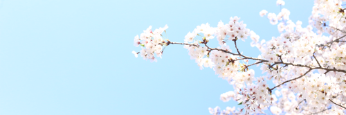 hommania's profile banner image