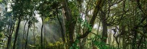 EliteLays Profile Banner