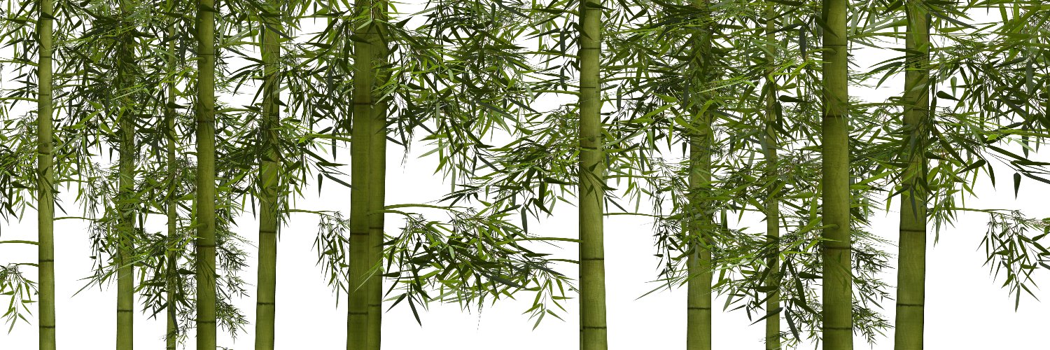 ZionTruthWay's profile banner image