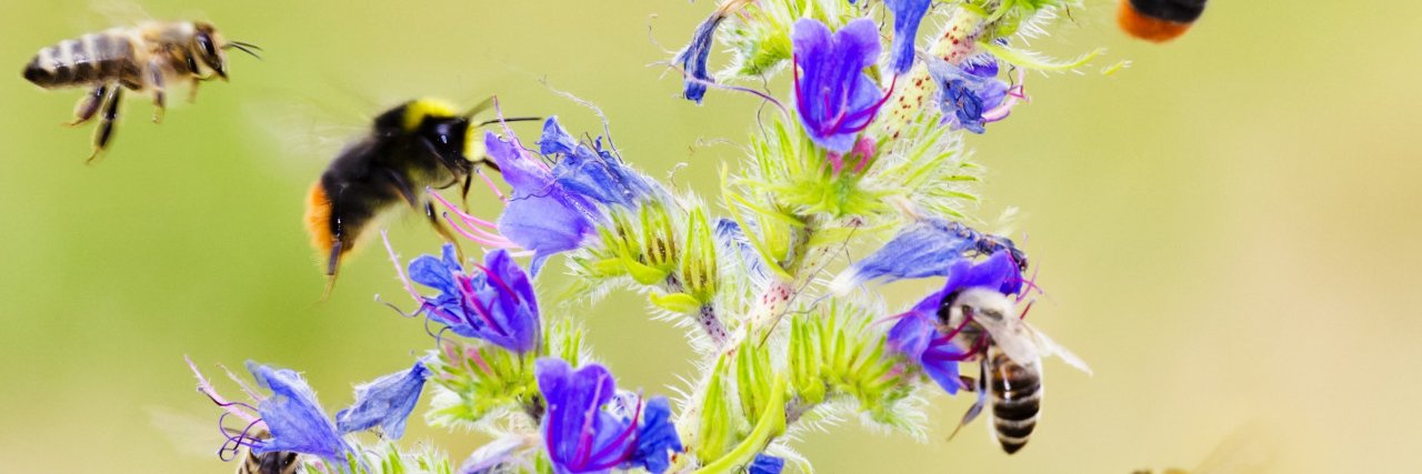 bijentelling's profile banner image
