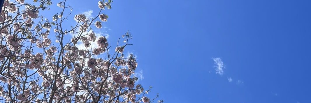 Robersy 💟 banner