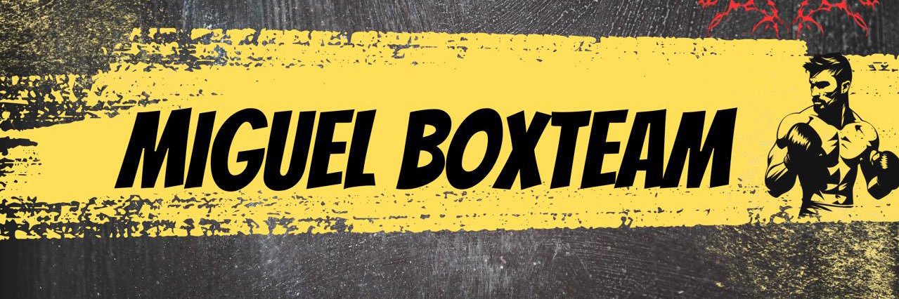 miguelboxteam's profile banner image
