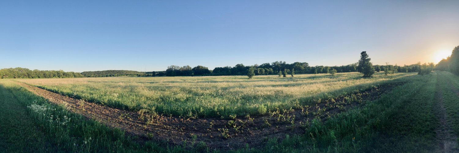 Cody Somerville banner