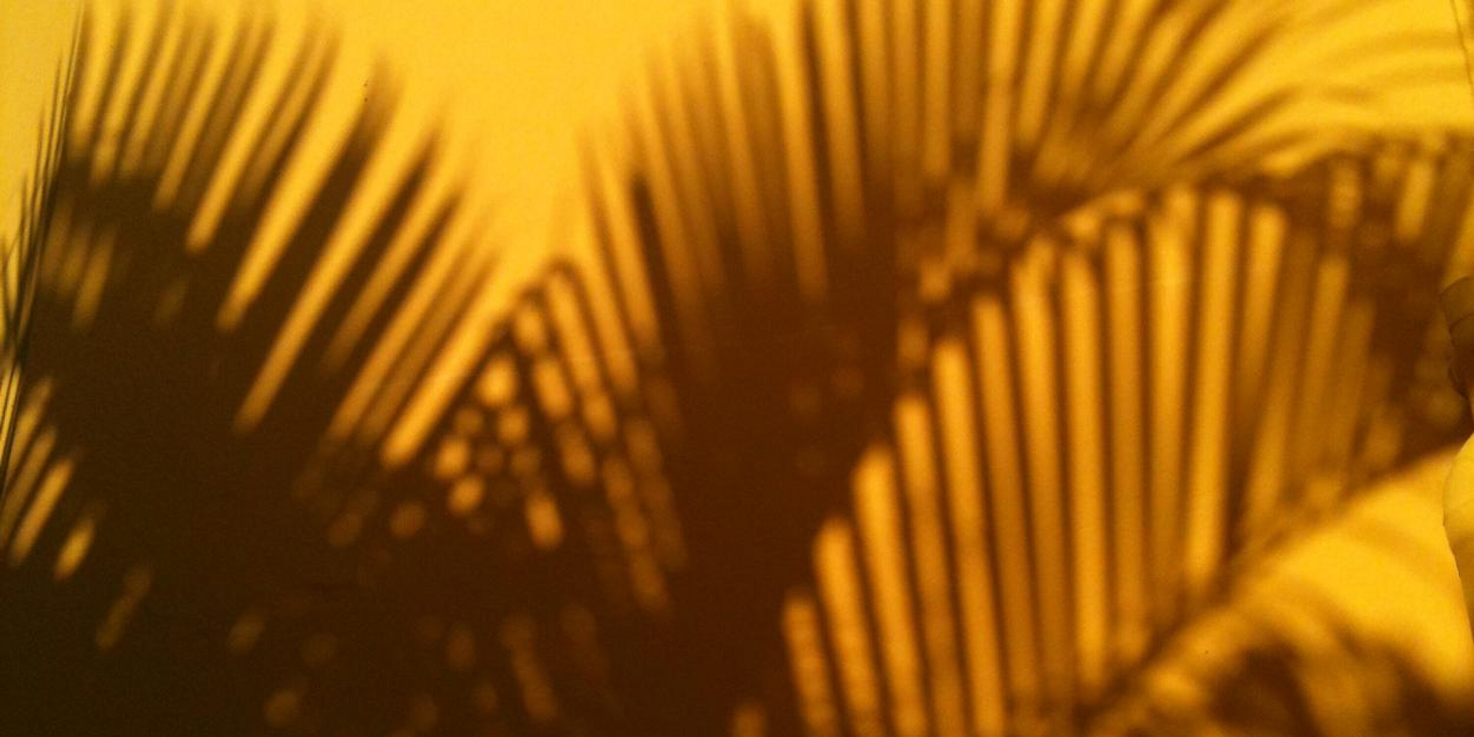 VillaMadras's profile banner image