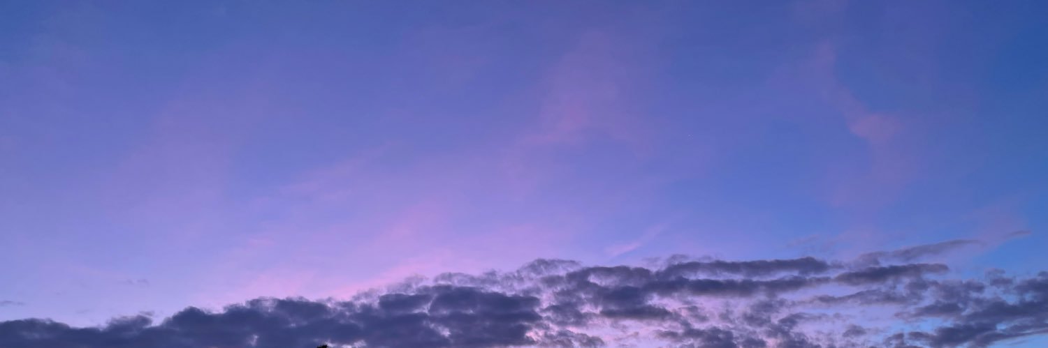 moongofish's profile banner image