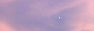ppuppu3456's profile banner image