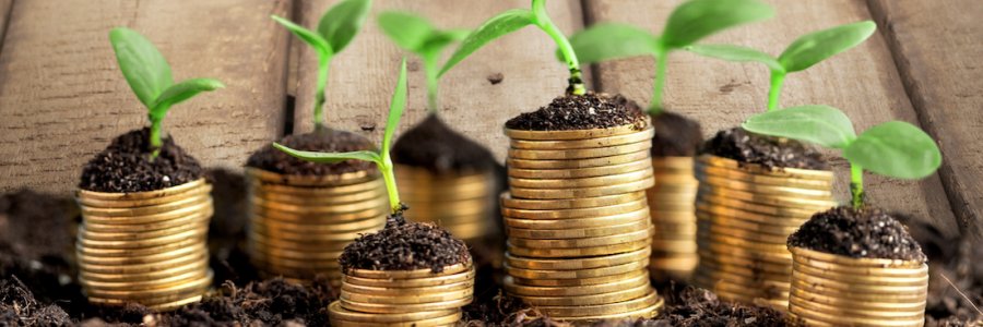 The Dividend Engineer banner