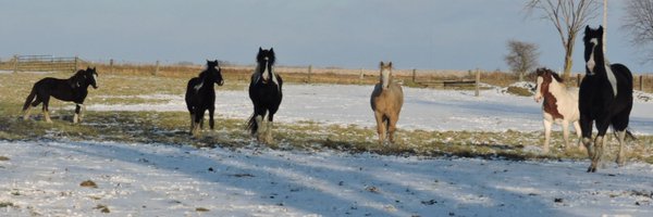 TVRSCIA Profile Banner