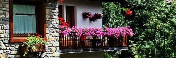 NOSS765's profile banner image