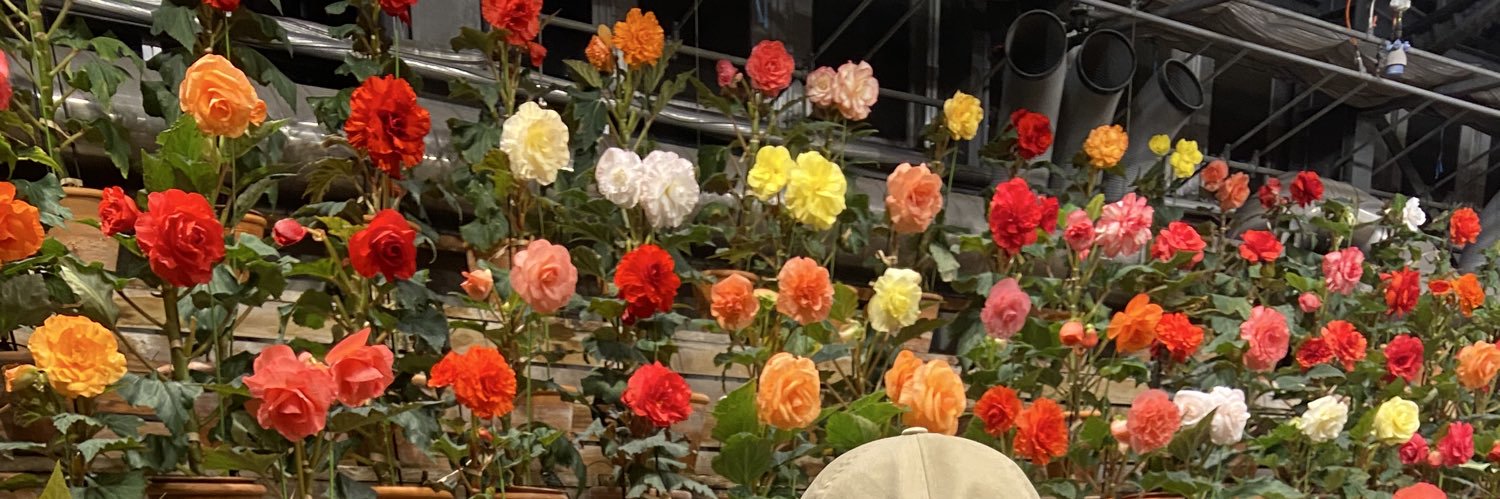 mochitadayooo's profile banner image
