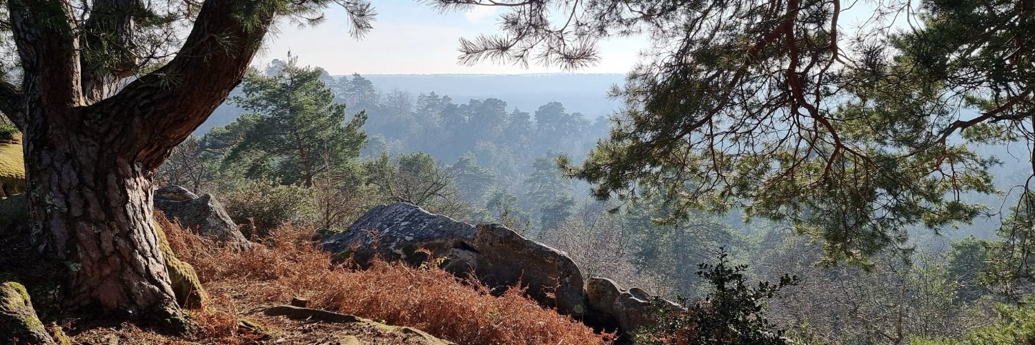 Lewis Sage-Passant, PhD banner