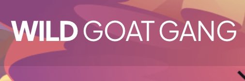 bigbrains_nft's profile banner image