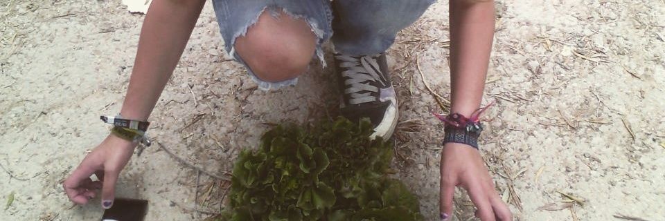 Silvia Márquez banner