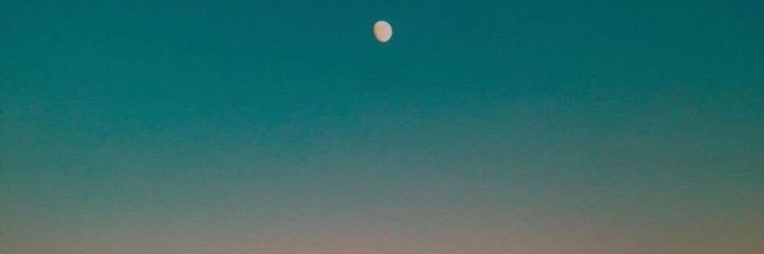 suleacarr_'s profile banner image